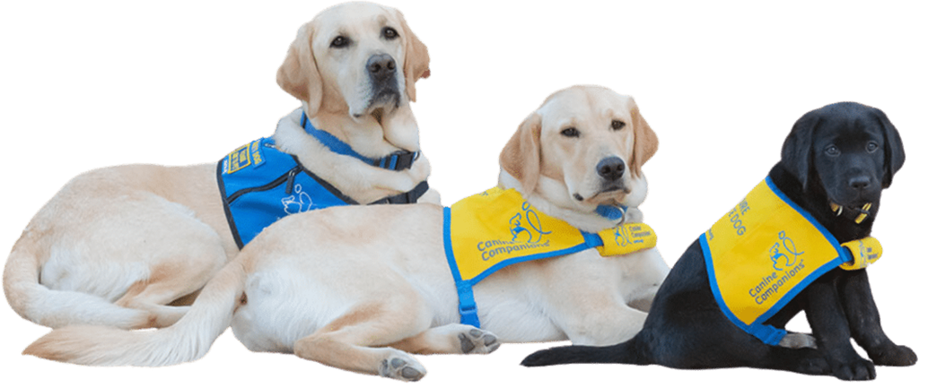 pcf dogs